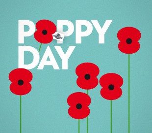 Poppy Day !